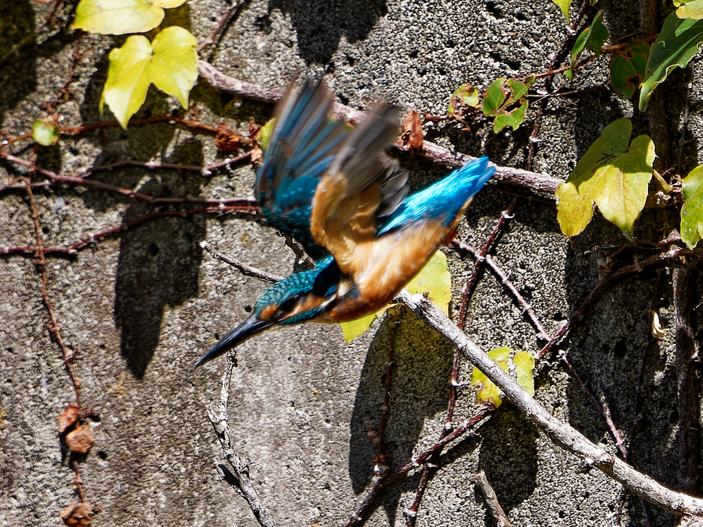びゅーんー　♪