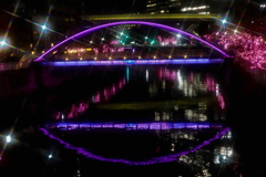 目黒川の水面にも写るアートな橋