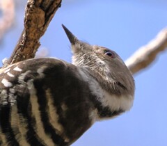 美味しかったな～、満足々