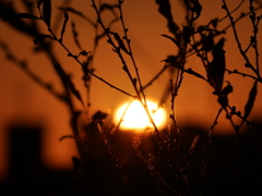 元旦の夕景