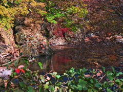 渓谷の流れ