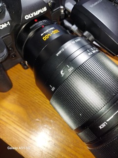 ライカDG エマール 100-400mm F4.0-6.3 ＋TC14