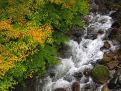 沢のしぶきが紅葉を色づける　伊那のオフ会にて