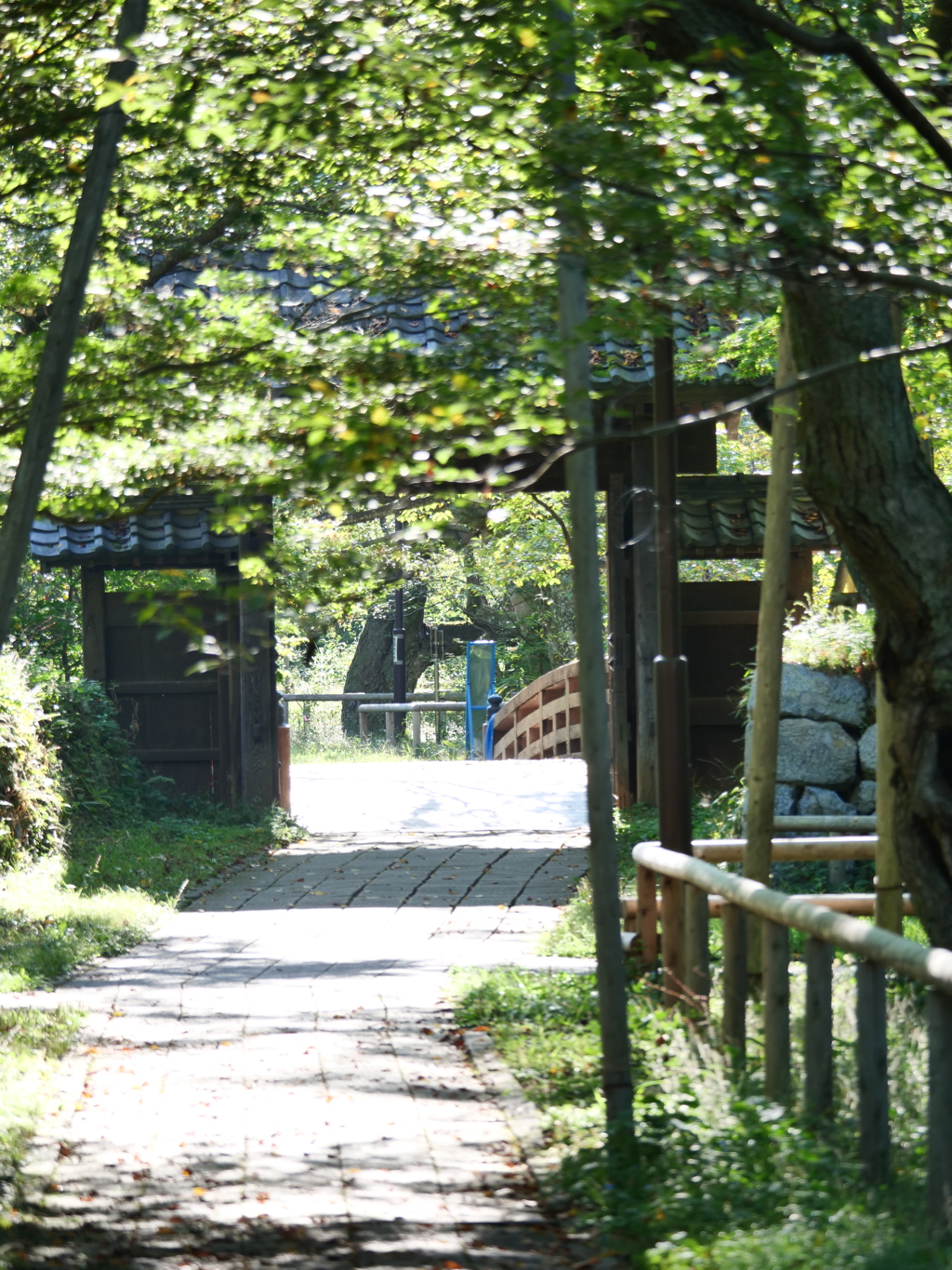 夏の高遠城址公園内