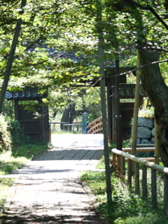 夏の高遠城址公園内