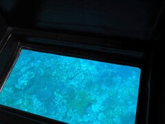 グラスボートの底　川平湾　途中ウミガメも見た