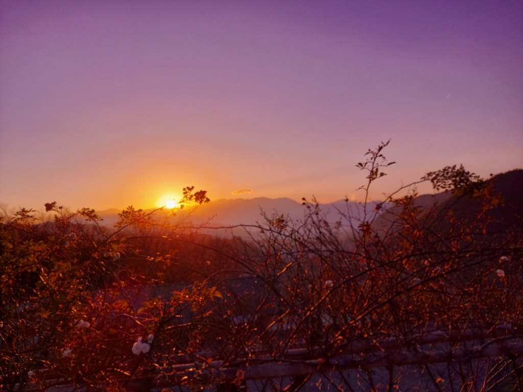 高遠の夕景