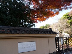 昨日帰宅が遅くなり大寝坊、近所の美術館は休館 (^^;)