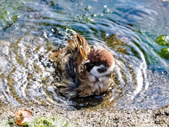 キャハハ　アハハハ、気持ちいー　♫