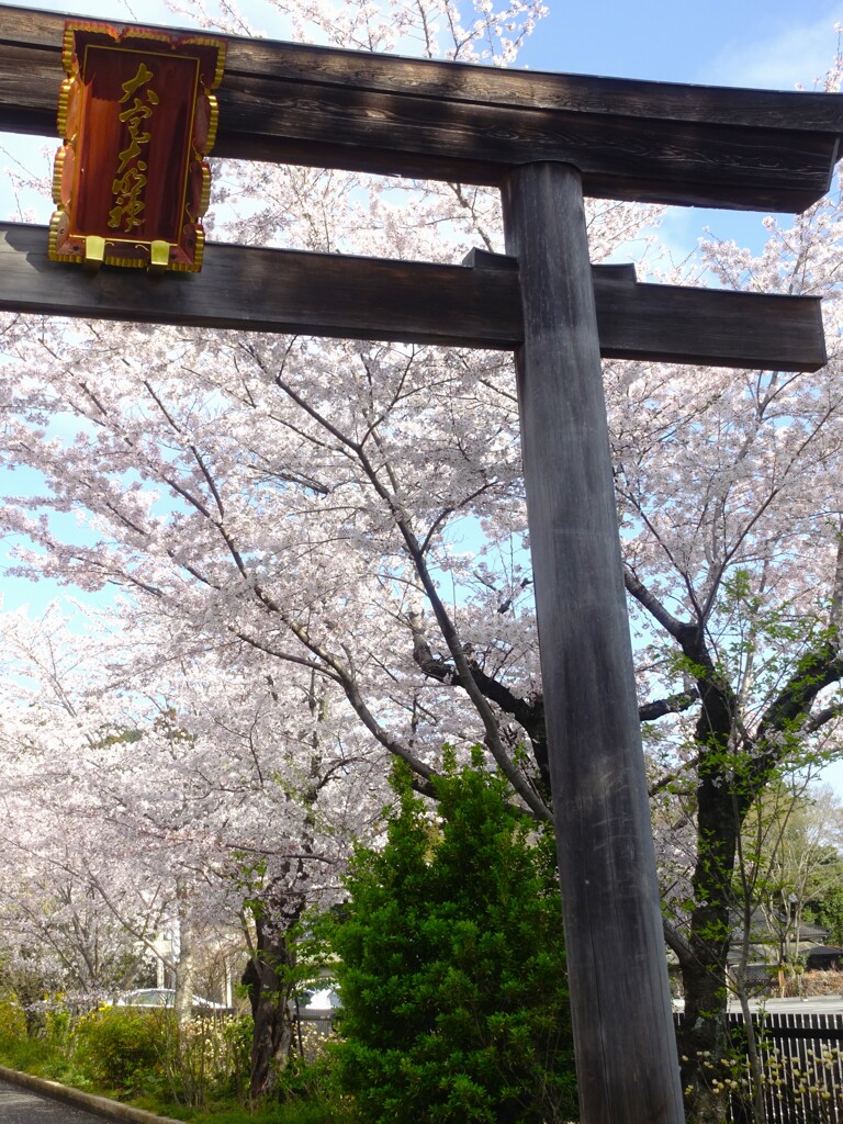高麗神社の入口の鳥居