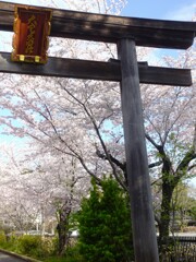 高麗神社の入口の鳥居