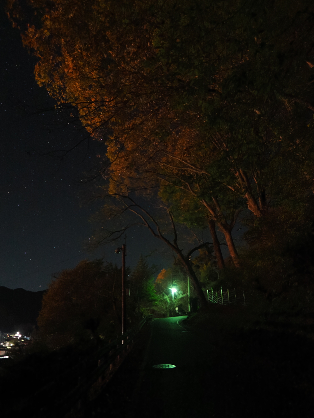 伊那市高遠町　殿坂から見る星空