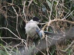 ふー、やっとさっぱりした。