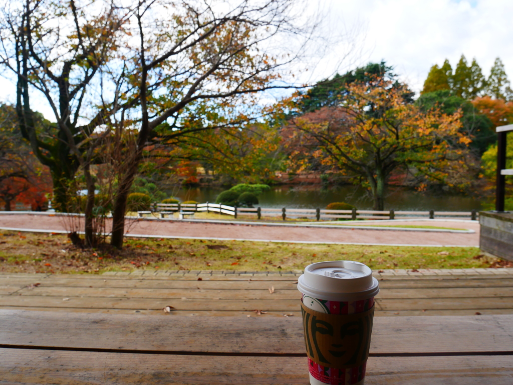 スタバで紅葉狩り