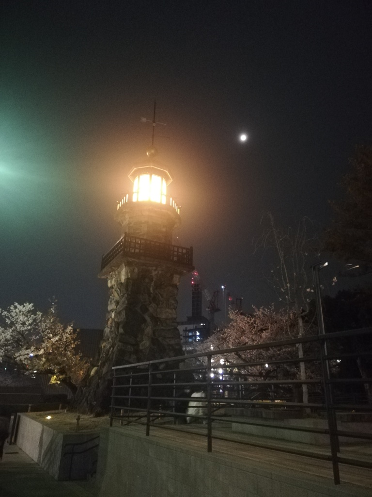 朧月夜の桜と灯籠