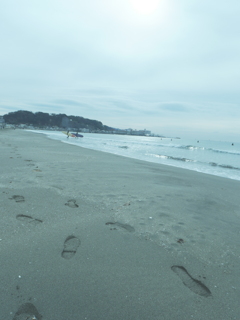 冬の朝のサーファー@材木座海岸