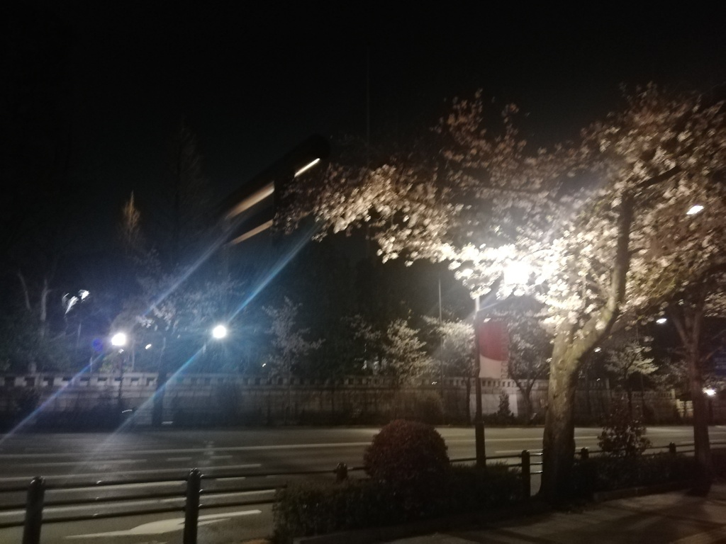 夜の靖国神社の鳥居