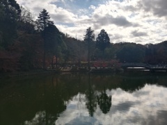 池に映る秋の空