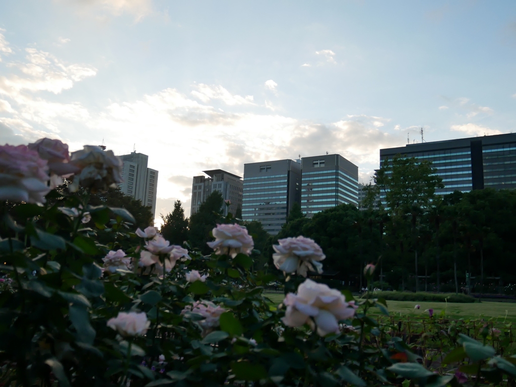 秋の夕暮れの日比谷公園