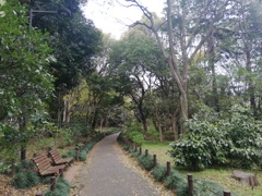 千鳥ヶ淵の裏