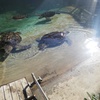 冬でも日光浴したい