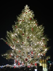 クリスマスツリー@横浜赤レンガ倉庫