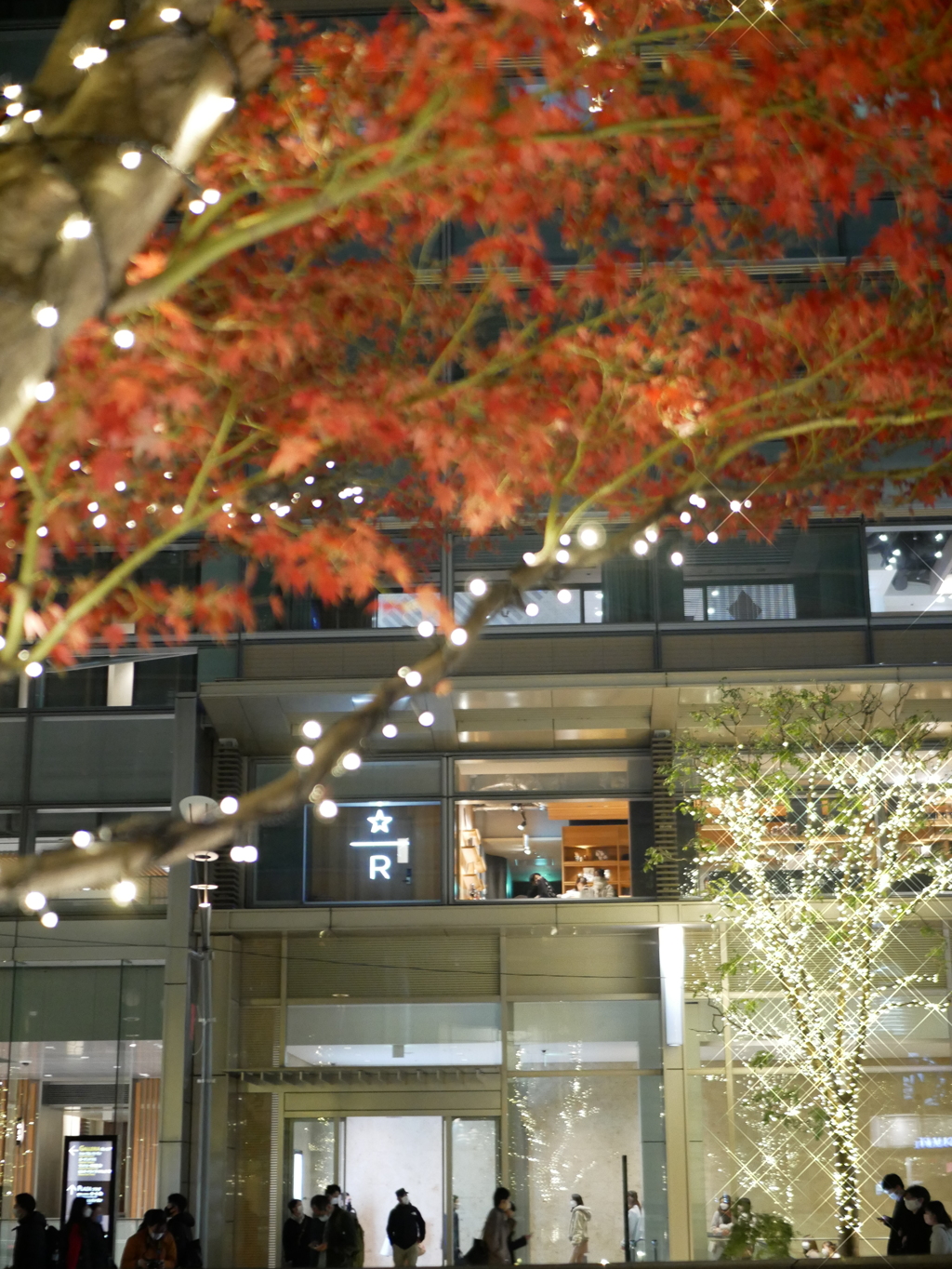 紅葉の先にはスタバ