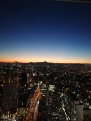 富士山目指して