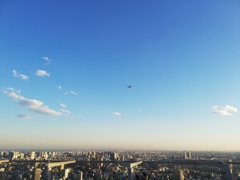 真上を機体が通過@渋谷スクランブルスクエア