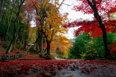 2020.11.20 ~亀岡~