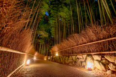 2020.12.12 ~京都~