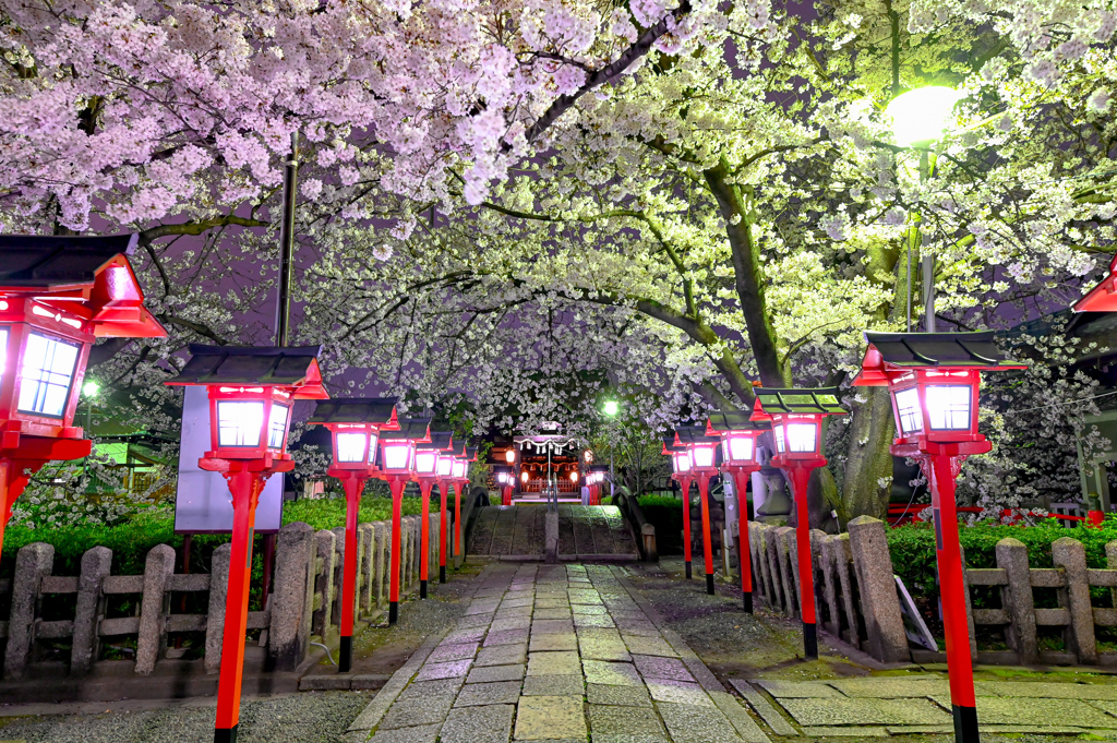 2021.03.27 ~京都~