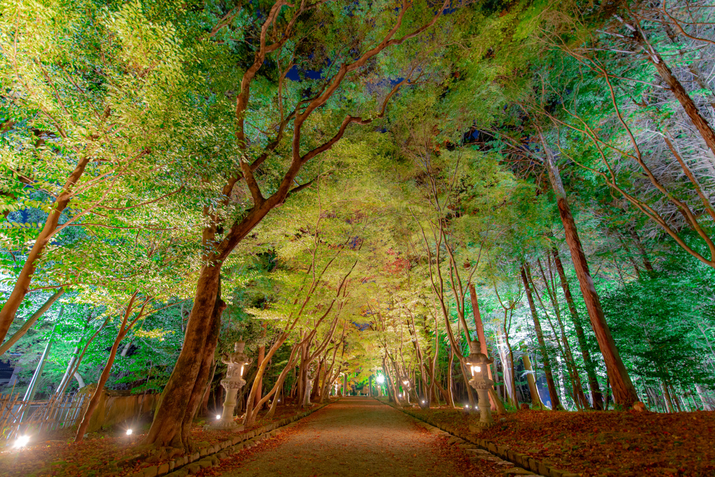 2020.11.23 ~京都~