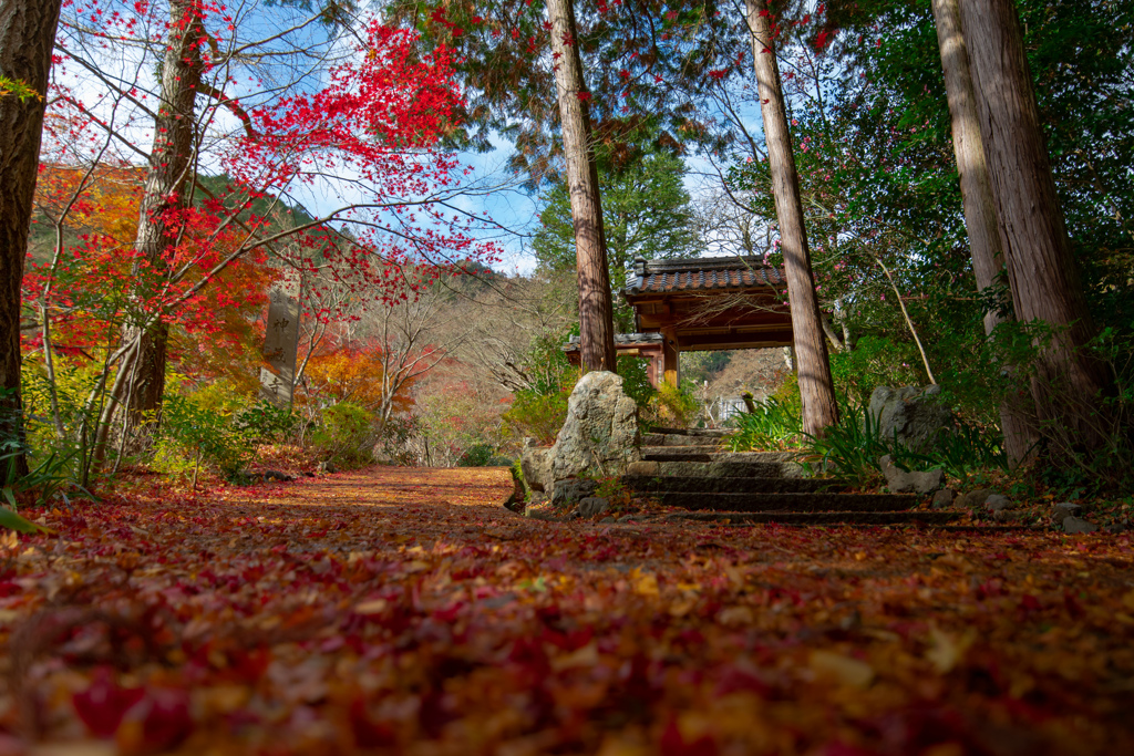 2020.11.20 ~亀岡~