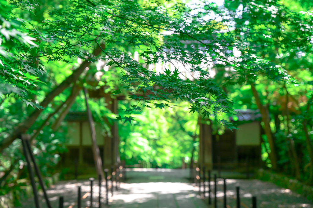 2021.05.29 ~京都~