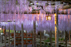 2021.04.24 ~津島~
