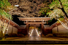 2020.12.12 ~京都~