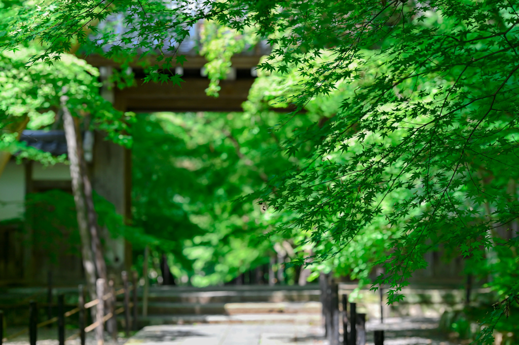 2021.05.29 ~京都~