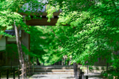 2021.05.29 ~京都~