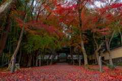 2020.12.13 ~京都~