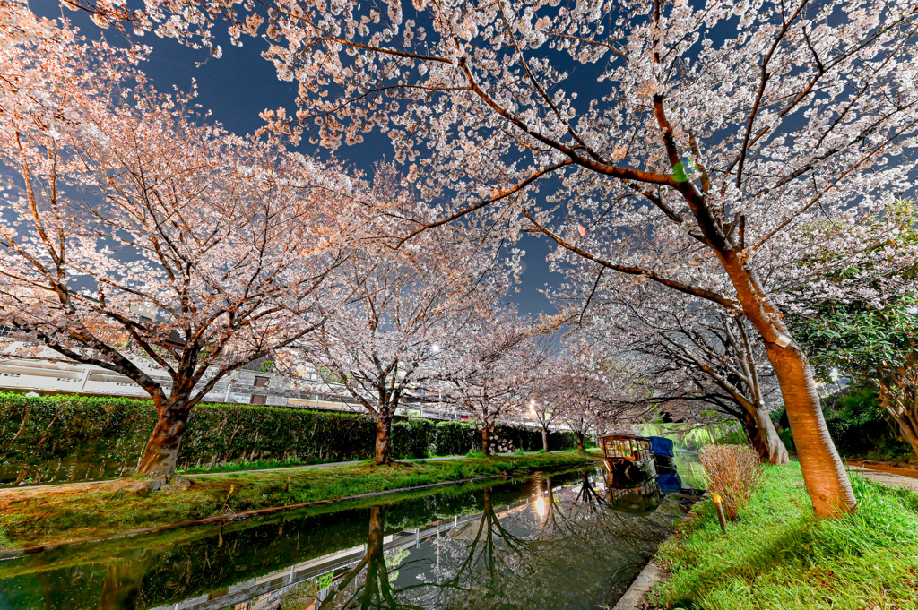 2021.03.27 ~京都~