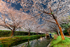 2021.03.27 ~京都~