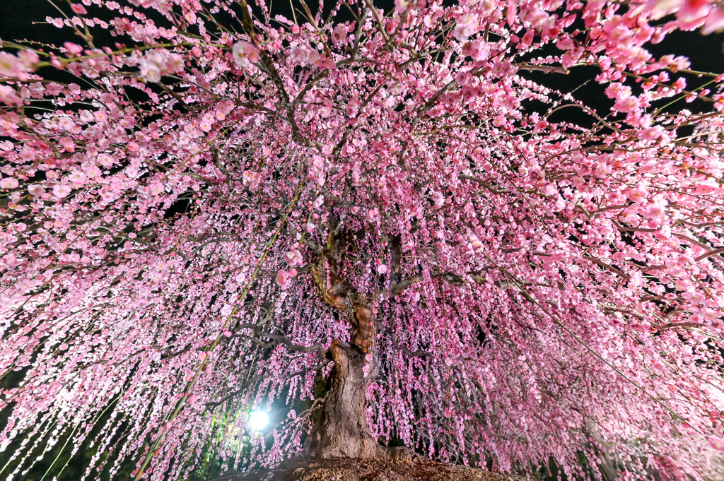 2021.02.28 ~鈴鹿~