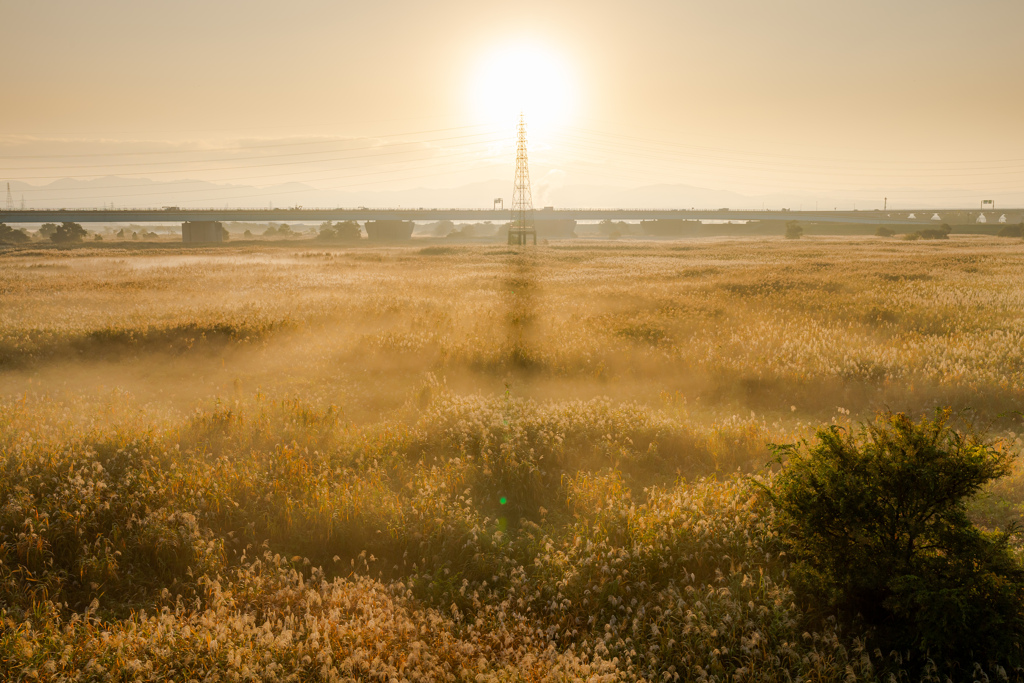 2020.11.14 ~京都~