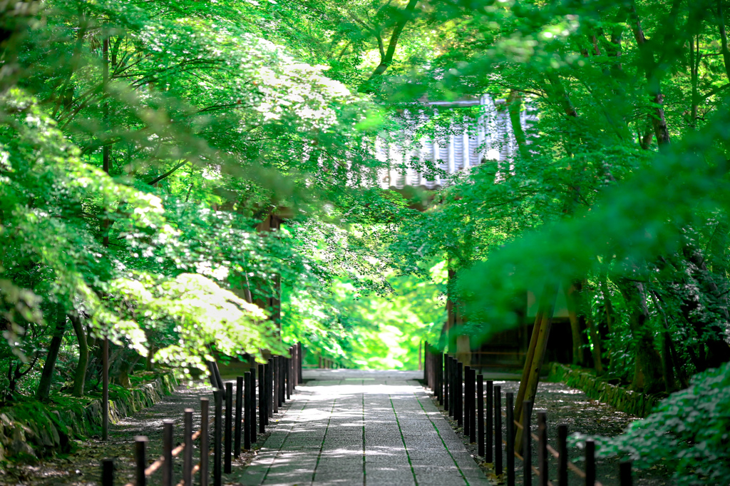 2021.05.29 ~京都~