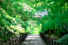 2021.05.29 ~京都~