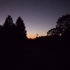 森の夕暮れ