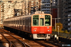 夕日を浴びて
