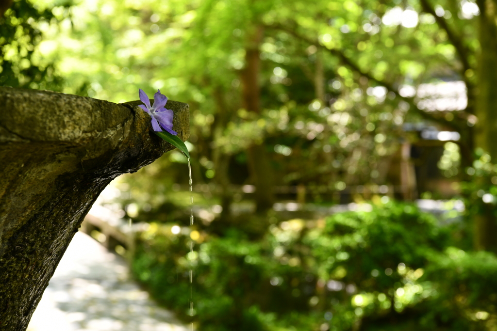 水の流れ