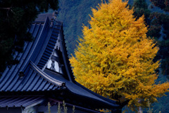 夜明けに浮かぶ